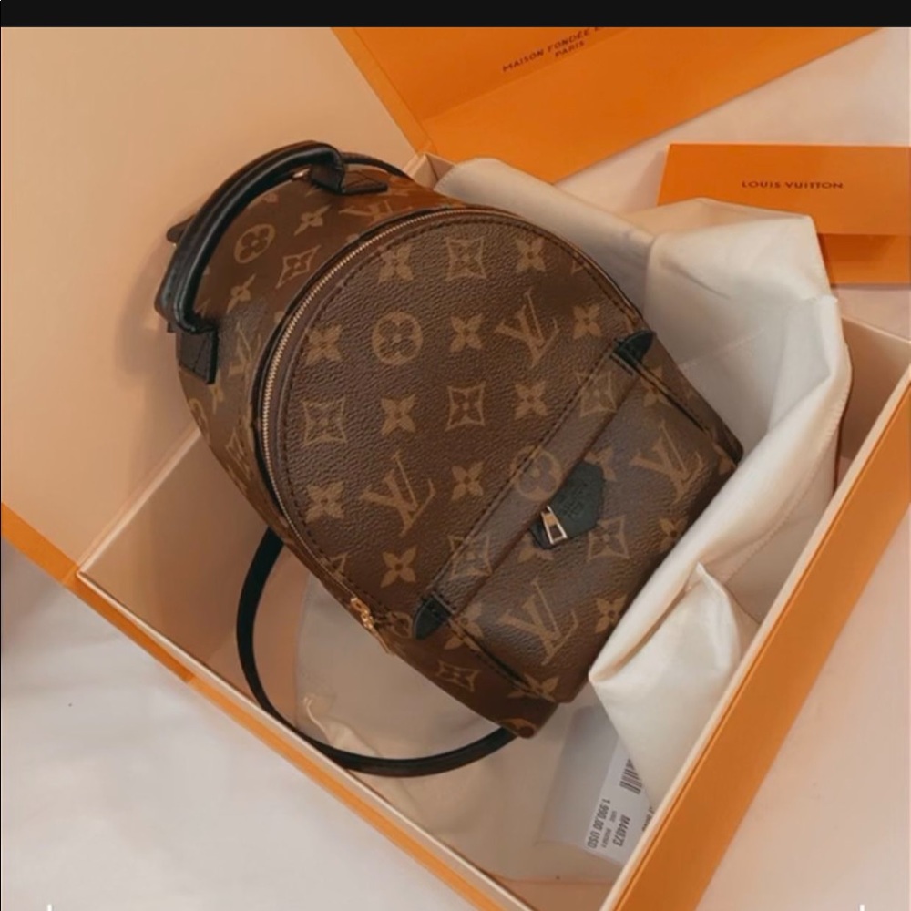 Palm Springs Louis Vuitton backpack